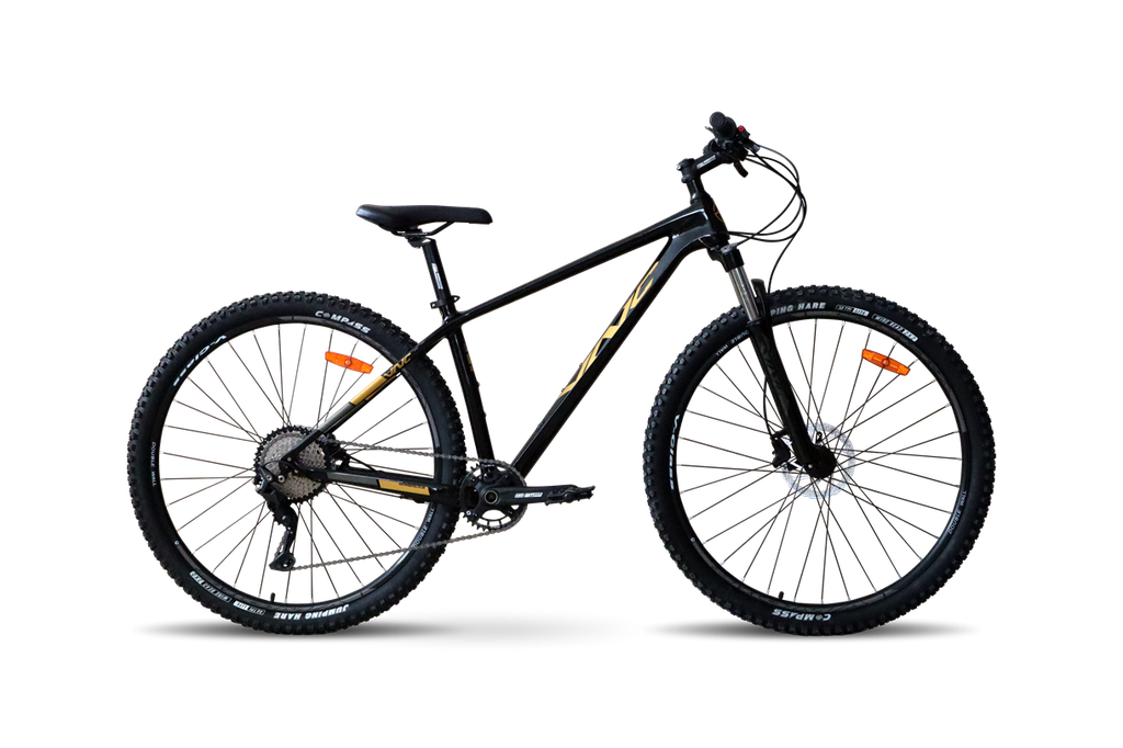 Велосипед VNC 2023 29" FastRider Sport Air V1C9A-2948-BG 48см (4491) black (shiny)/gold (matt)